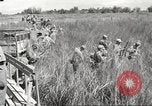 Image of prisoners of war Philippines, 1945, second 29 stock footage video 65675062293