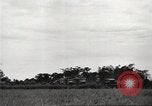 Image of American prisoners of war Philippines, 1945, second 23 stock footage video 65675062295