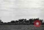 Image of American prisoners of war Philippines, 1945, second 24 stock footage video 65675062295
