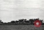 Image of American prisoners of war Philippines, 1945, second 25 stock footage video 65675062295