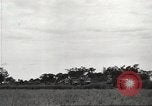 Image of American prisoners of war Philippines, 1945, second 26 stock footage video 65675062295