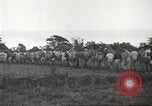 Image of American prisoners of war Guimba Nueva Ecija Philippines, 1945, second 3 stock footage video 65675062296