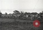 Image of American prisoners of war Guimba Nueva Ecija Philippines, 1945, second 5 stock footage video 65675062296