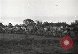 Image of American prisoners of war Guimba Nueva Ecija Philippines, 1945, second 6 stock footage video 65675062296
