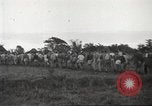 Image of American prisoners of war Guimba Nueva Ecija Philippines, 1945, second 7 stock footage video 65675062296