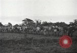 Image of American prisoners of war Guimba Nueva Ecija Philippines, 1945, second 8 stock footage video 65675062296