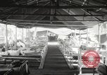 Image of Philippines internees Philippines, 1945, second 44 stock footage video 65675062305