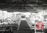 Image of Philippines internees Philippines, 1945, second 45 stock footage video 65675062305