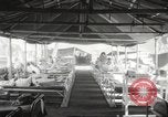 Image of Philippines internees Philippines, 1945, second 57 stock footage video 65675062305