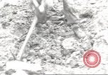 Standbild USA Soldaten Birresborn Deutschland, 1945, aus Sekunde 53 historischem Filmmaterial Videoclip 65675062312