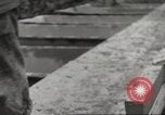 Immagine di Soldati statunitensi Birresborn Germania, 1945, secondo 34 filmato di repertorio 65675062314