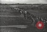 Standbild 6 Ranger Bataillon Luzon Philippinen, 1945, aus Sekunde 22 historischem Filmmaterial Videoclip 65675062317