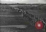 Standbild 6 Ranger Bataillon Luzon Philippinen, 1945, aus Sekunde 23 historischem Filmmaterial Videoclip 65675062317