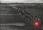 Standbild 6 Ranger Bataillon Luzon Philippinen, 1945, aus Sekunde 24 historischem Filmmaterial Videoclip 65675062317