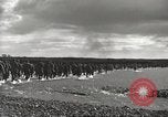 Standbild 6 Ranger Bataillon Luzon Philippinen, 1945, aus Sekunde 37 historischem Filmmaterial Videoclip 65675062317