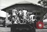 Immagine di Gli americani liberato dalla prigione giapponese arriva all'ospedale Guimba Nueva Ecija Filippine, 1945, secondo 10 filmato di repertorio 65675062321