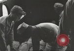 Immagine di Gli americani liberato dalla prigione giapponese arriva all'ospedale Guimba Nueva Ecija Filippine, 1945, secondo 54 filmato di repertorio 65675062321
