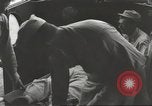 Immagine di Gli americani liberato dalla prigione giapponese arriva all'ospedale Guimba Nueva Ecija Filippine, 1945, secondo 56 filmato di repertorio 65675062321