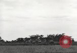 Image of Americans rescued from Japanese prison camp ride in trucks Guimba Nueva Ecija Philippines, 1945, second 32 stock footage video 65675062322