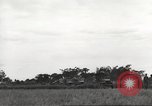 Image of Americans rescued from Japanese prison camp ride in trucks Guimba Nueva Ecija Philippines, 1945, second 33 stock footage video 65675062322