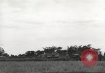 Image of Americans rescued from Japanese prison camp ride in trucks Guimba Nueva Ecija Philippines, 1945, second 34 stock footage video 65675062322
