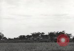 Image of Americans rescued from Japanese prison camp ride in trucks Guimba Nueva Ecija Philippines, 1945, second 35 stock footage video 65675062322