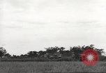 Image of Americans rescued from Japanese prison camp ride in trucks Guimba Nueva Ecija Philippines, 1945, second 36 stock footage video 65675062322