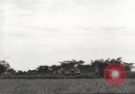 Image of Americans rescued from Japanese prison camp ride in trucks Guimba Nueva Ecija Philippines, 1945, second 37 stock footage video 65675062322