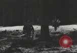 Image of United States soldiers Germany, 1945, second 18 stock footage video 65675062323