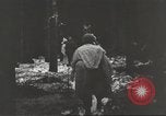 Immagine di Soldati statunitensi Germania, 1945, secondo 15 filmato di repertorio 65675062324