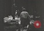 Immagine di Soldati statunitensi Germania, 1945, secondo 16 filmato di repertorio 65675062324
