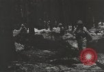 Immagine di Soldati statunitensi Germania, 1945, secondo 26 filmato di repertorio 65675062324