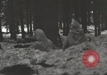 Immagine di Soldati statunitensi Germania, 1945, secondo 28 filmato di repertorio 65675062324