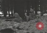 Immagine di Soldati statunitensi Germania, 1945, secondo 30 filmato di repertorio 65675062324