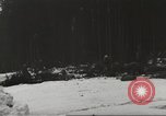 Immagine di Soldati statunitensi Germania, 1945, secondo 38 filmato di repertorio 65675062324