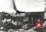 Immagine di Soldati statunitensi Germania, 1945, secondo 52 filmato di repertorio 65675062324