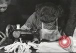 Immagine di Il francese operatori della Croce Rossa Thionville Francia, 1945, secondo 30 filmato di repertorio 65675062327