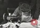 Immagine di Il francese operatori della Croce Rossa Thionville Francia, 1945, secondo 31 filmato di repertorio 65675062327