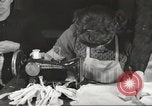 Immagine di Il francese operatori della Croce Rossa Thionville Francia, 1945, secondo 32 filmato di repertorio 65675062327