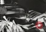 Immagine di Il francese operatori della Croce Rossa Thionville Francia, 1945, secondo 41 filmato di repertorio 65675062327