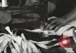 Immagine di Il francese operatori della Croce Rossa Thionville Francia, 1945, secondo 43 filmato di repertorio 65675062327