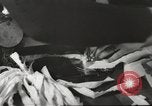 Immagine di Il francese operatori della Croce Rossa Thionville Francia, 1945, secondo 44 filmato di repertorio 65675062327