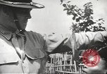 Immagine di Filippini Tribali Filippine, 1940, secondo 43 filmato di repertorio 65675062336