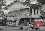 Image of Filipino foods and markets Philippines, 1940, second 13 stock footage video 65675062338