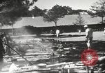 Image of Filipino foods and markets Philippines, 1940, second 43 stock footage video 65675062338