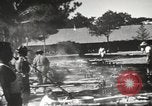 Image of Filipino foods and markets Philippines, 1940, second 44 stock footage video 65675062338