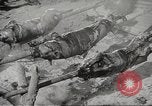 Image of Filipino foods and markets Philippines, 1940, second 45 stock footage video 65675062338