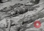 Image of Filipino foods and markets Philippines, 1940, second 49 stock footage video 65675062338