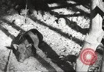 Image of Filipino industries 1930s and 1940s Philippines, 1940, second 17 stock footage video 65675062340