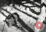 Image of Filipino industries 1930s and 1940s Philippines, 1940, second 18 stock footage video 65675062340